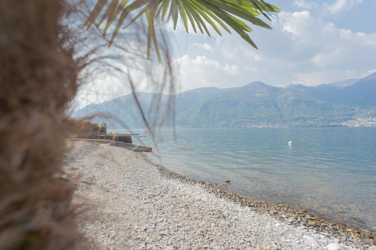 Dream Lake Apartments Lake View - Private Beach By Rent All Como ليتْسّينو المظهر الخارجي الصورة